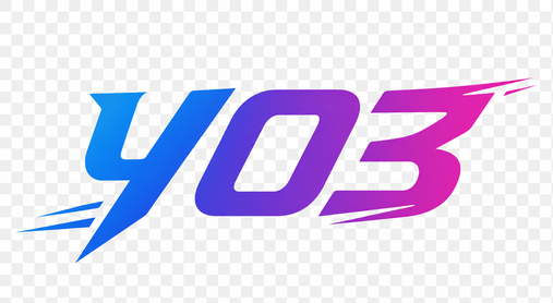 y03